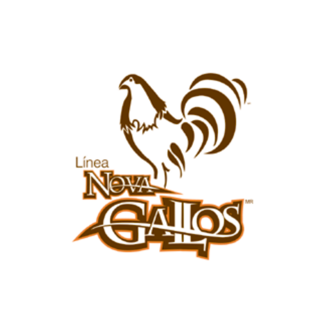 Nova Gallos