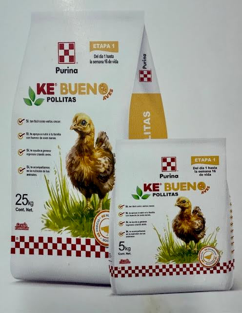 Ke Bueno Pollitas
