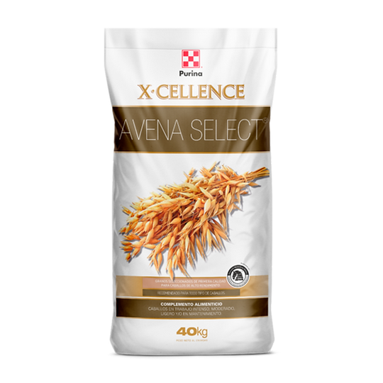 X-CELLENCE AVENA SELECTA