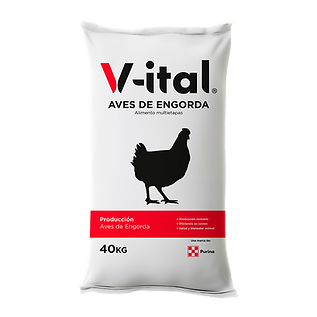 V-ITAL  POLLO ENGORDA