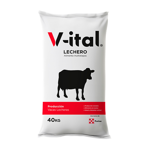 V-iTAL LECHERO ESTANDAR