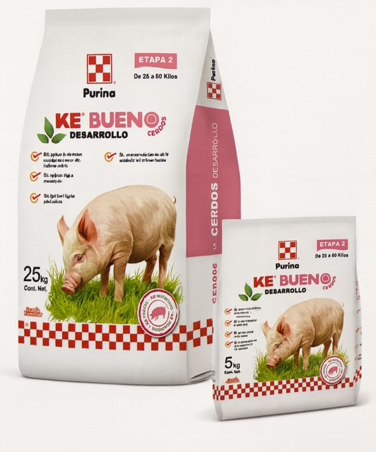 KE BUENO DESARROLLO